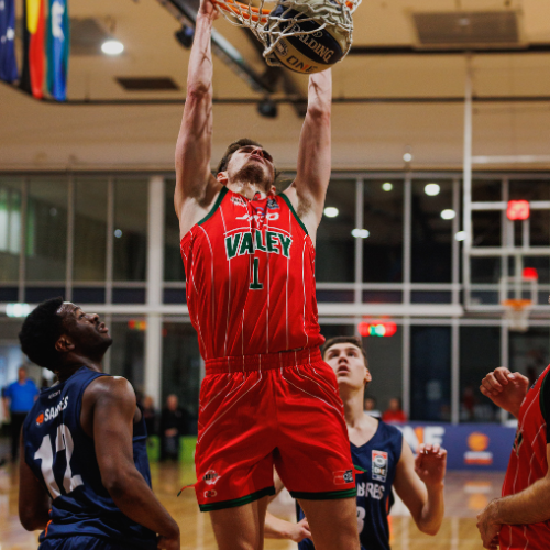 Diamond Valley Basketball Association